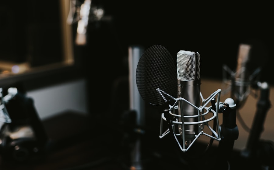 A studio condenser microphone